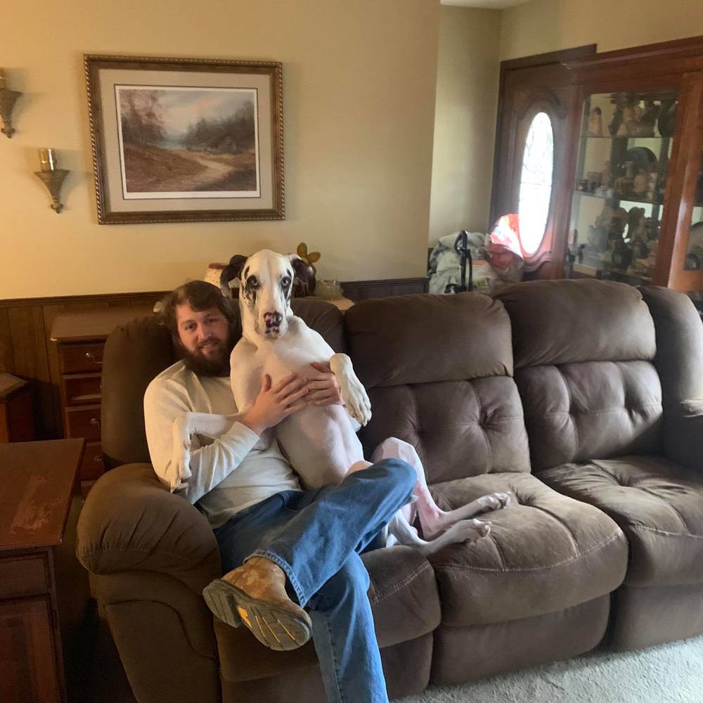 Meet your Posher, Shelby